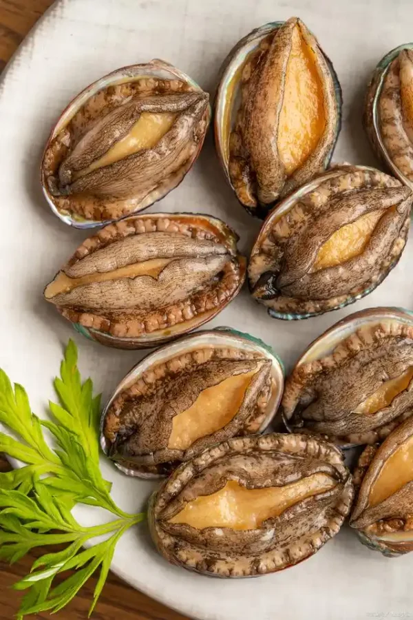 abalone
